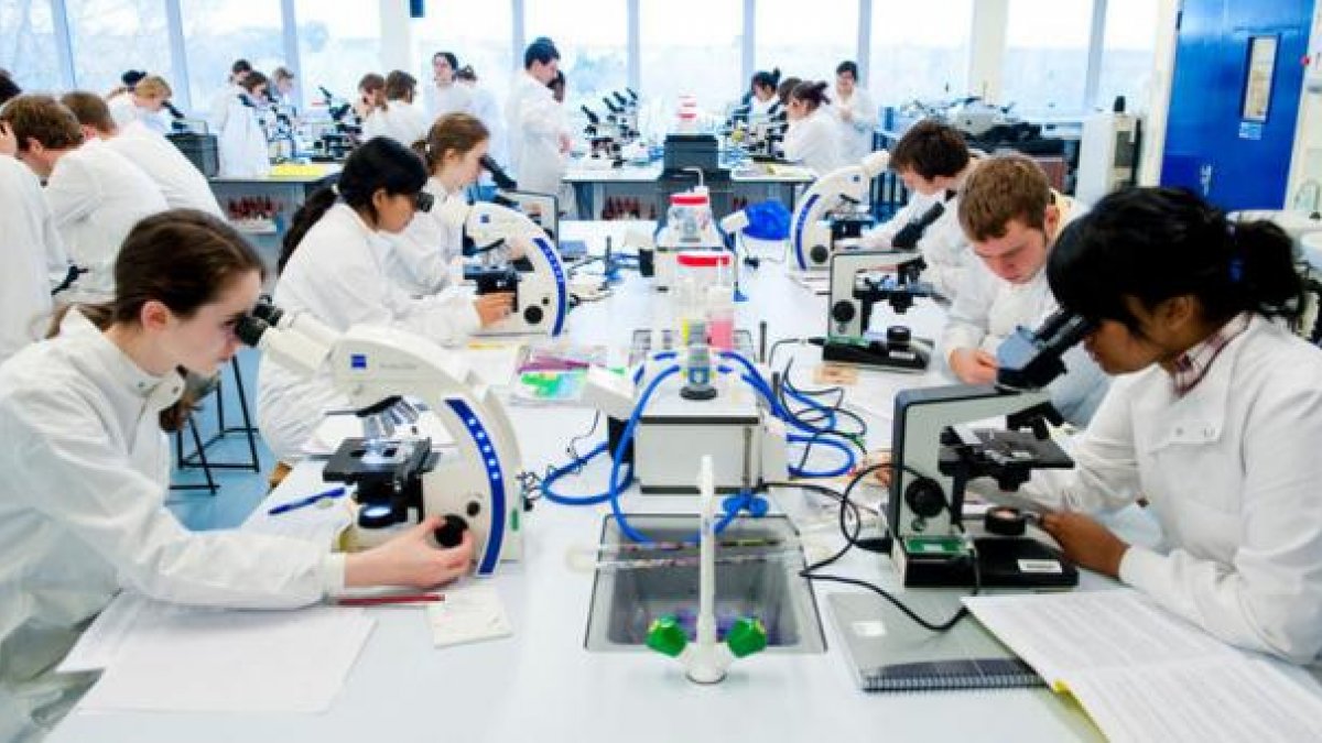 Top Jobs With A Biosciences Degree | University Of Surrey